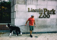 11- Zoo Park